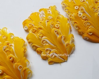 SET OF 5 - Yellow on White Nagorie Curled Goose Feather Pad - NEW Curlz Line