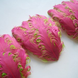 Set of 5 - Pink on Lime Curled Goose Feather Pads