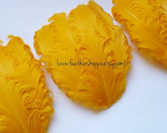 SET OF 5 - Yellow Curled Goose Feather Pad