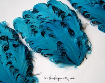 SET OF 5 - Nagorie Feather Pads - Turquoise on Black Curled Goose Pad