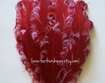 Burgandy Sangria Curled Goose Feather Pad