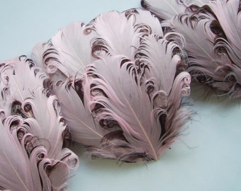 SET OF 5 - Light Pink on Chocolate Brown Curled Goose Feather Pad