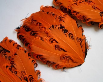 SET OF 5 -3.50 ea - Orange on Black Nagorie Feather Pads