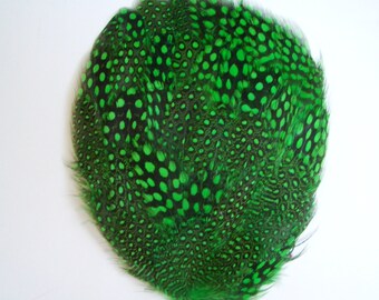 Set of 5 - Green Guinea Feather Pads