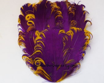 Set of 5 Purple on Gold Curled Goose Feather Pads