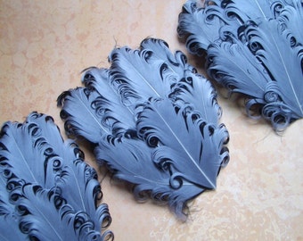 SET OF 5 - Silver on Black Feather Pads