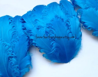 SET OF 5 - Turquoise Curled Goose Feather Pads - Feathers