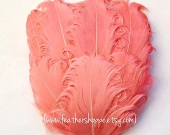 Feather Pad - 1 Coral Pink Nagorie Curled Goose Feather Pad