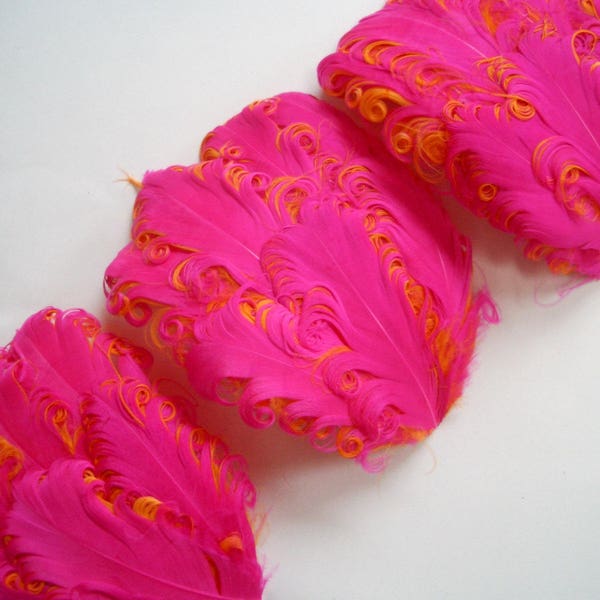 LOT DE 5 - 3.50 ea - Baylee Fuchsia Rose sur Orange Nagorie Curled Goose Feather Pad