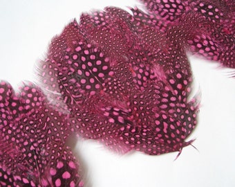 5 Hot Pink Guinea Feather Pads