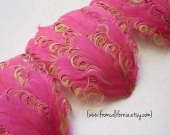 SET OF 5 - 3.50 ea - Pink and Champagne Curled Goose Feather Pads