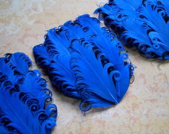 SET OF 5 - Royal Blue and Black Feather Pads