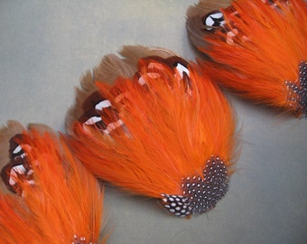 Set of 5 CIRCUS - Feather Pads