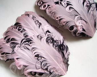 SET OF 5 - Pink on Black Curled Goose Feather Pads