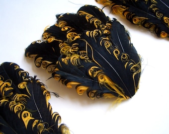 SET OF 5 Black and Gold Nagorie Curled Goose Feather Pads