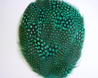 Set of 5 Jade Green Guinea Feather Pads