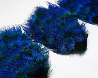 Set of 5 Peacock Feather Pads in Turquoise Blue Peacock Plumage - RARE STYLE