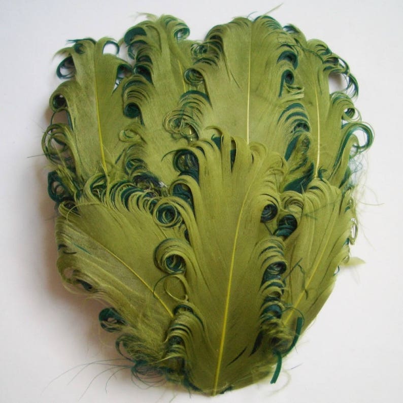 SET OF 5 Lime and Hunter Curled Goose Feather Pads image 2
