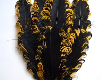 Set of 5 Black and Gold Nagorie Curled Goose Feather Pads