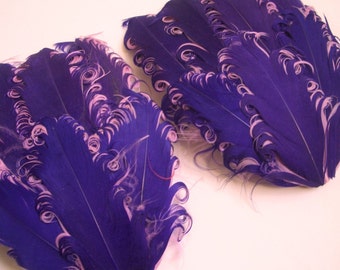 SET OF 5 - Purple on Pink Curled Goose Feather Pads