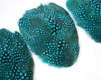 5 Turquoise Guinea Feather Pads