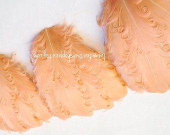 SET OF 5 - Peach Nagorie Curled Goose Feather Pads