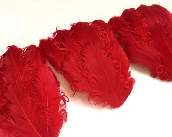 SET OF 5 - Red Curled Goose Feather Pads - Two Red Nagorie Pad