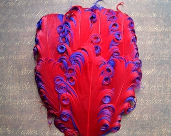 5 Red on Purple Curled Goose Feather Pad