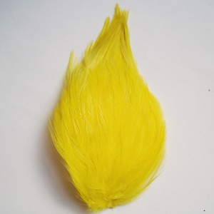 Set of 5 Yellow Hackle Feather Pads image 1