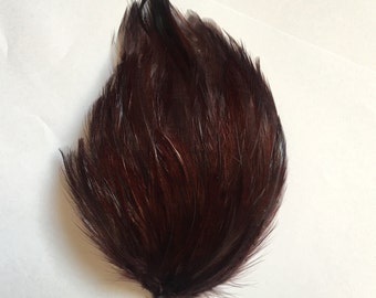 Set of 5 Dark Chocolate Brown Hackle Feather Pads