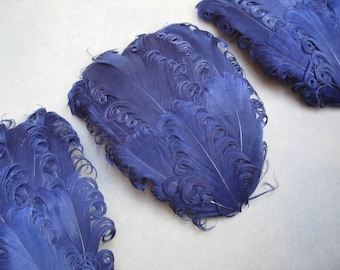 SET OF 5 - 3.50 ea - Navy Blue Curled Goose Feather Pad
