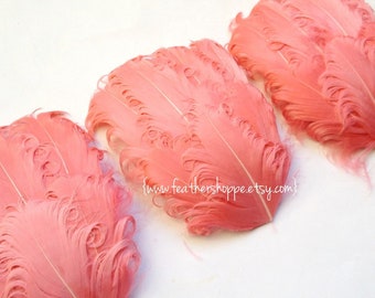 SET OF 5 -  Coral Pink Nagorie Curled Goose Feather Pads