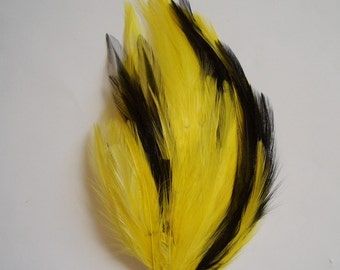 Set of 5 - Yellow and Black  Hackle Feather Pads