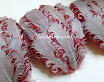 SET OF 5 - Silver and Wine Curled Goose Feather Pad