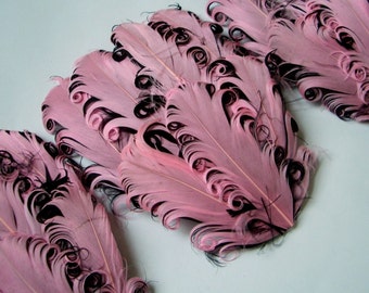 Set of 5 Light Pink on Black Curled Goose Feather Pads