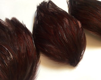 SET OF 5 - Dark Chocolate Brown Hackle Feather Pads