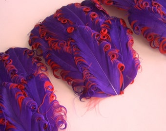 SET OF 5 - Feather Pads - Purple on Red Curled Goose Nagorie Feather Pad