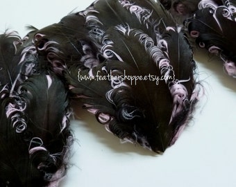 SET OF 5 - Chocolate on Light Pink Curled Goose Feather Pad