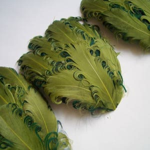 SET OF 5 Lime and Hunter Curled Goose Feather Pads image 1