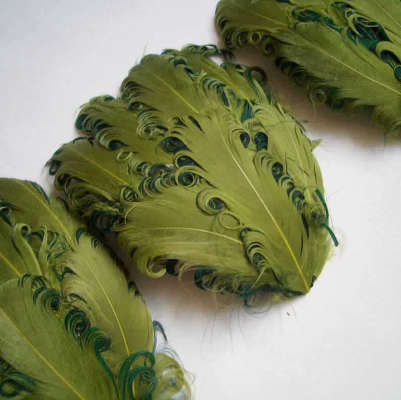 SET OF 5 Lime and Hunter Curled Goose Feather Pads image 1