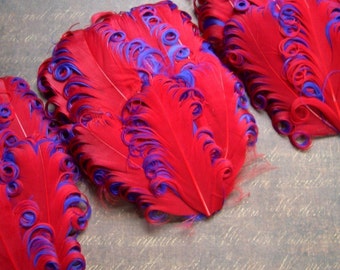 SET OF 5 - Red on Purple Curled Goose Feather Pads