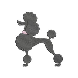 Puede incluir: Un caniche negro con un collar rosa, de pie sobre un fondo blanco.