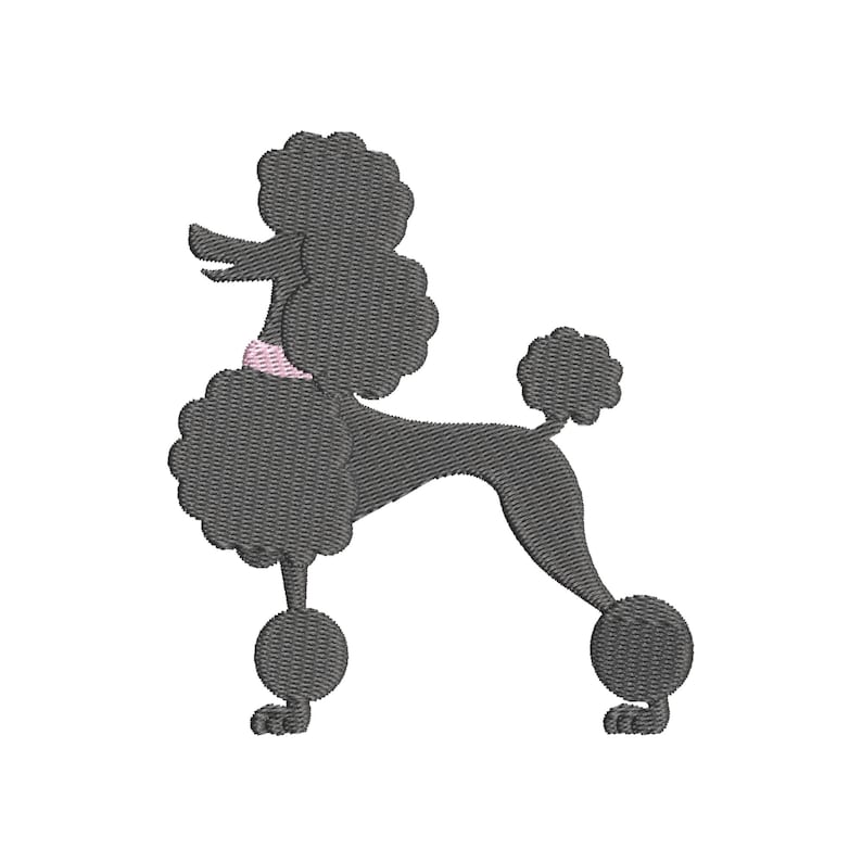 Puede incluir: Un caniche negro con un collar rosa, de pie sobre un fondo blanco.