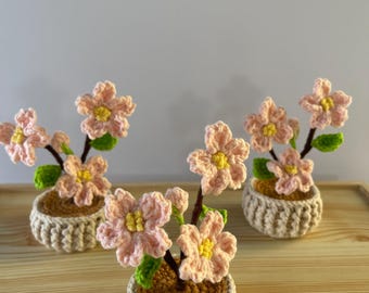 Handmade Crochet Blossom Pot: Desk Decor