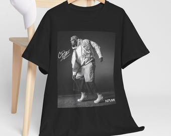 Chris Brown Concert T-Shirt: Breezy Bowl Tour Fan Merch