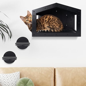 Holim cat wall shelves, Large cat shelves for wall with Cat condo, Cat climbing shelves, Floor or wall mounted cat furniture, durable wood