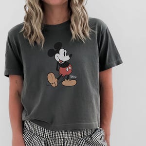 以下が含まれることがあります： ミッキーマウスのグラフィックが特徴の濃いグレーのTシャツ。漫画のキャラクターは黒、白、赤、タンで描かれており、ディズニーのロゴが見えます。このシャツは半袖で、ゆったりとしたフィット感です。