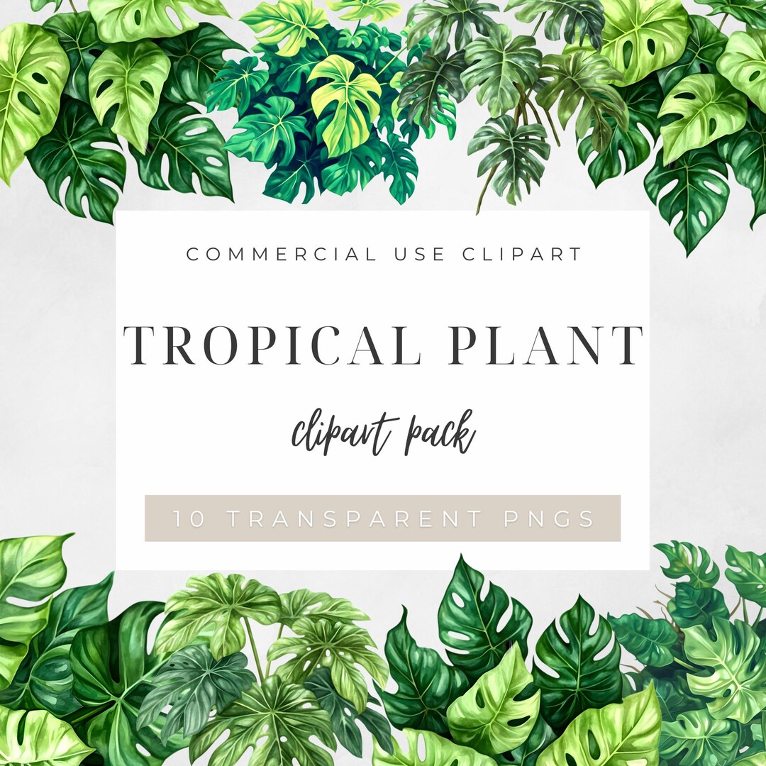 Tropical Plant Clipart Bundle| 10 PNG Watercolor Leaves| Monstera& Palm ...