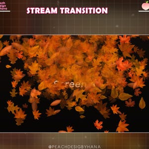 May include: A digital graphic with the text "STREAM TRANSITION" in pink. The image features a cluster of orange and yellow autumn leaves against a black background. The word "green" is partially visible. The design includes a peach logo.