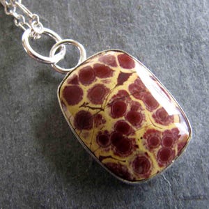 Puede incluir: Un collar con colgante rectangular con una piedra pulida que presenta un patrón único de manchas granates y amarillas. La piedra está engastada en un bisel plateado y cuelga de una delicada cadena plateada. El collar es una joya.